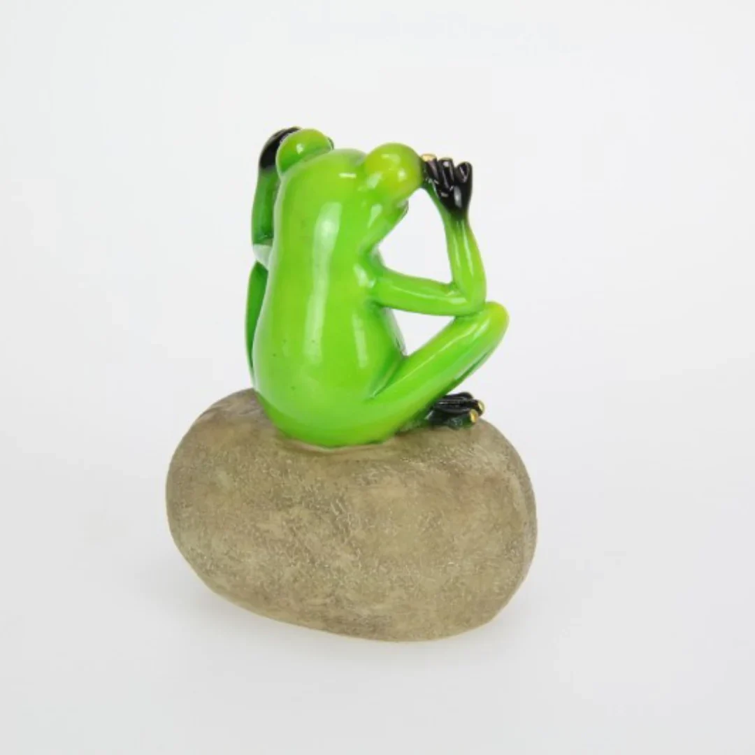FROG ON ROCK WITH FUNNY QUOTE -12cm - Image 3