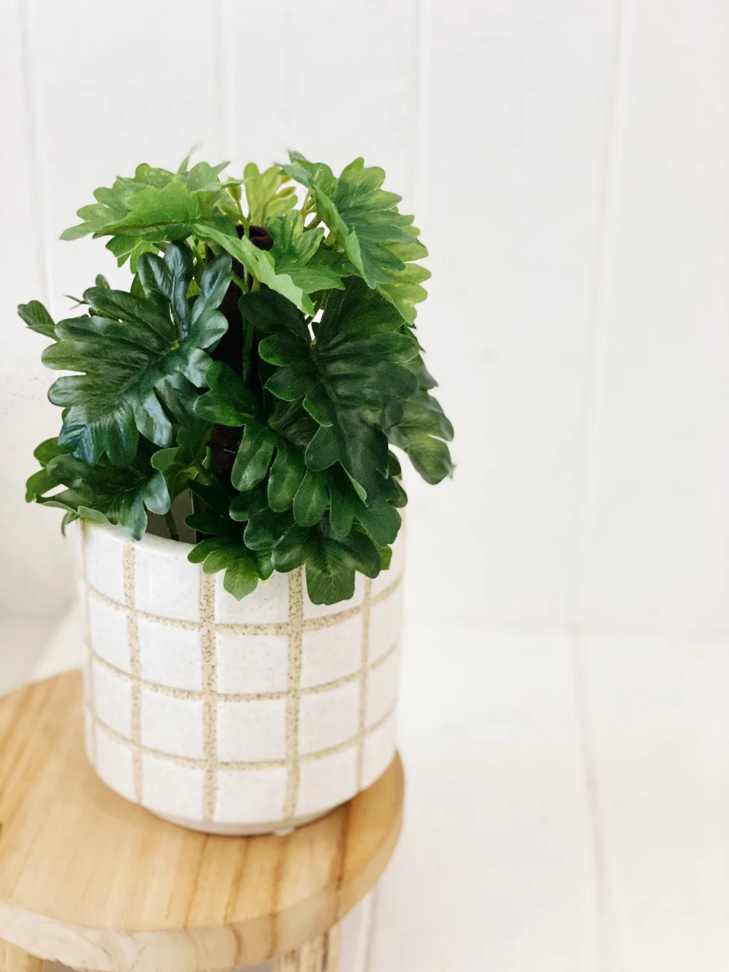 Artificial Monstera & Philodendron in Pot - Image 3