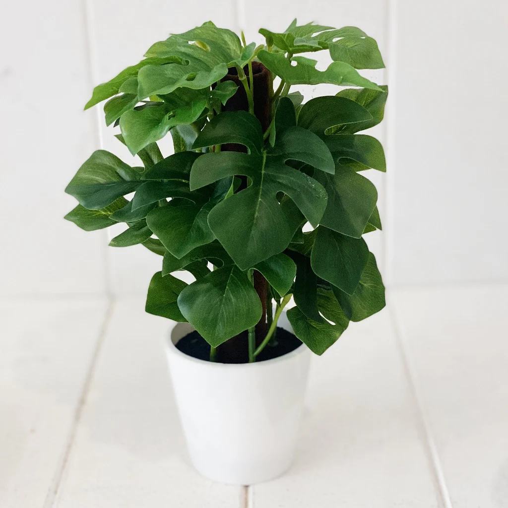 Artificial Monstera & Philodendron in Pot - Image 4