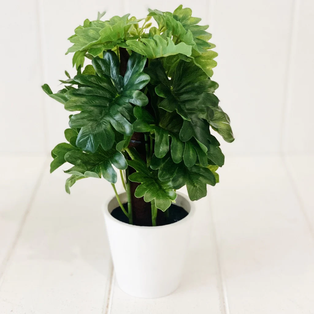 Artificial Monstera & Philodendron in Pot - Image 6