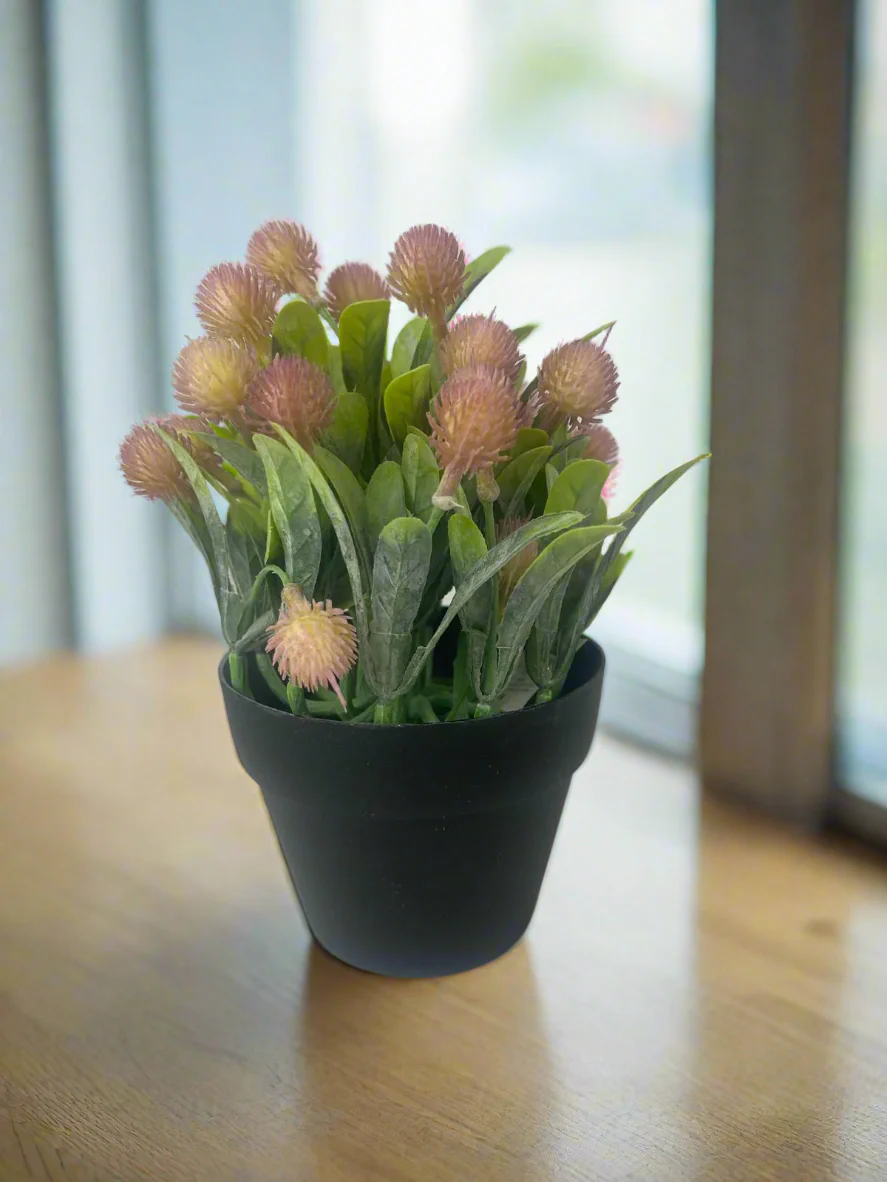 Artificial Protea in a Pot – 20cm - Image 2