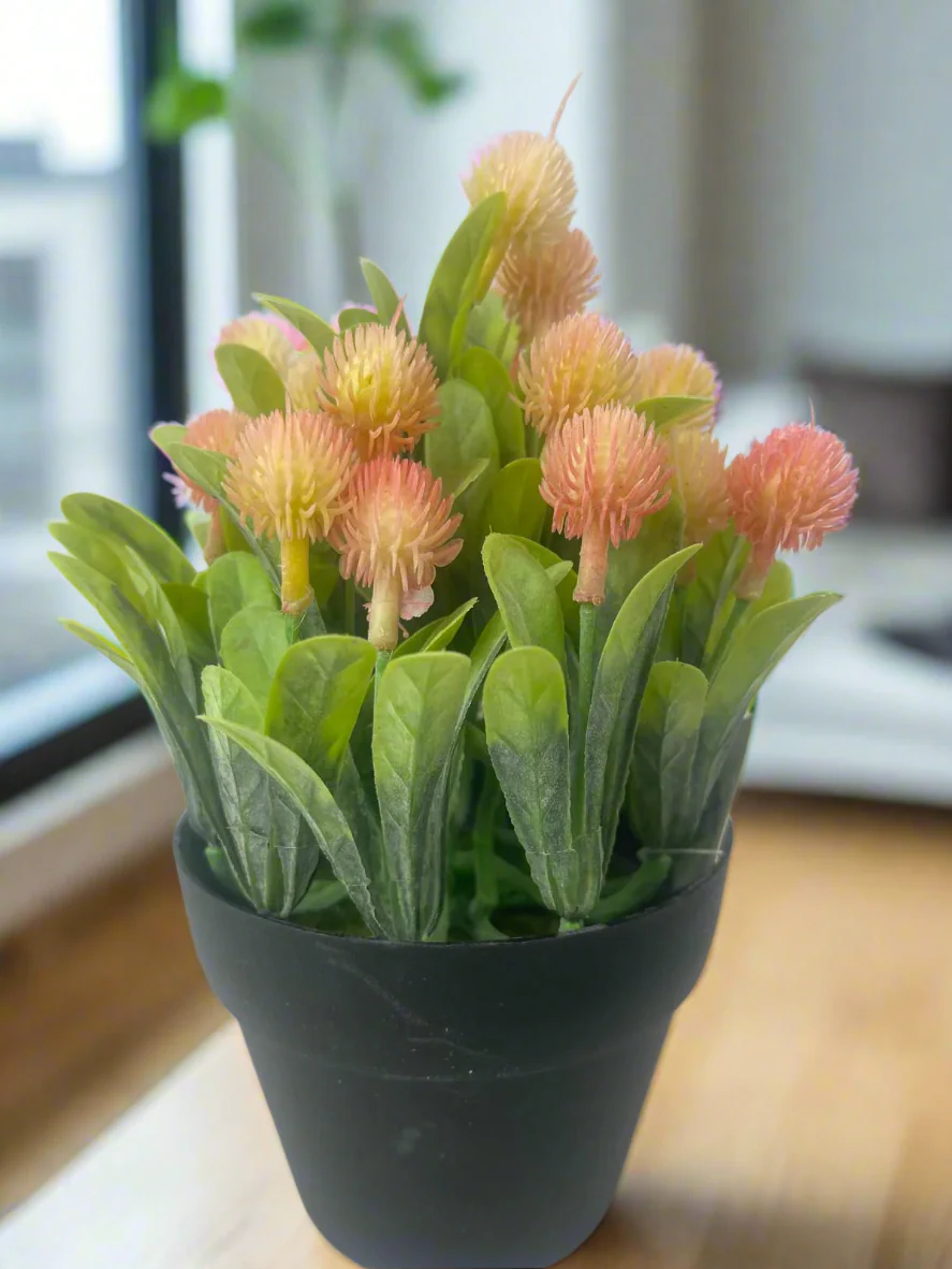 Artificial Protea in a Pot – 20cm - Image 4