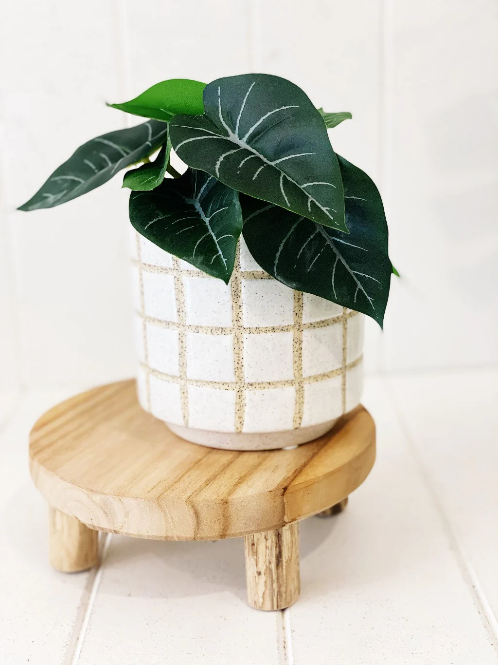 Artificial Syngonium & Pilea in Pot - Image 4