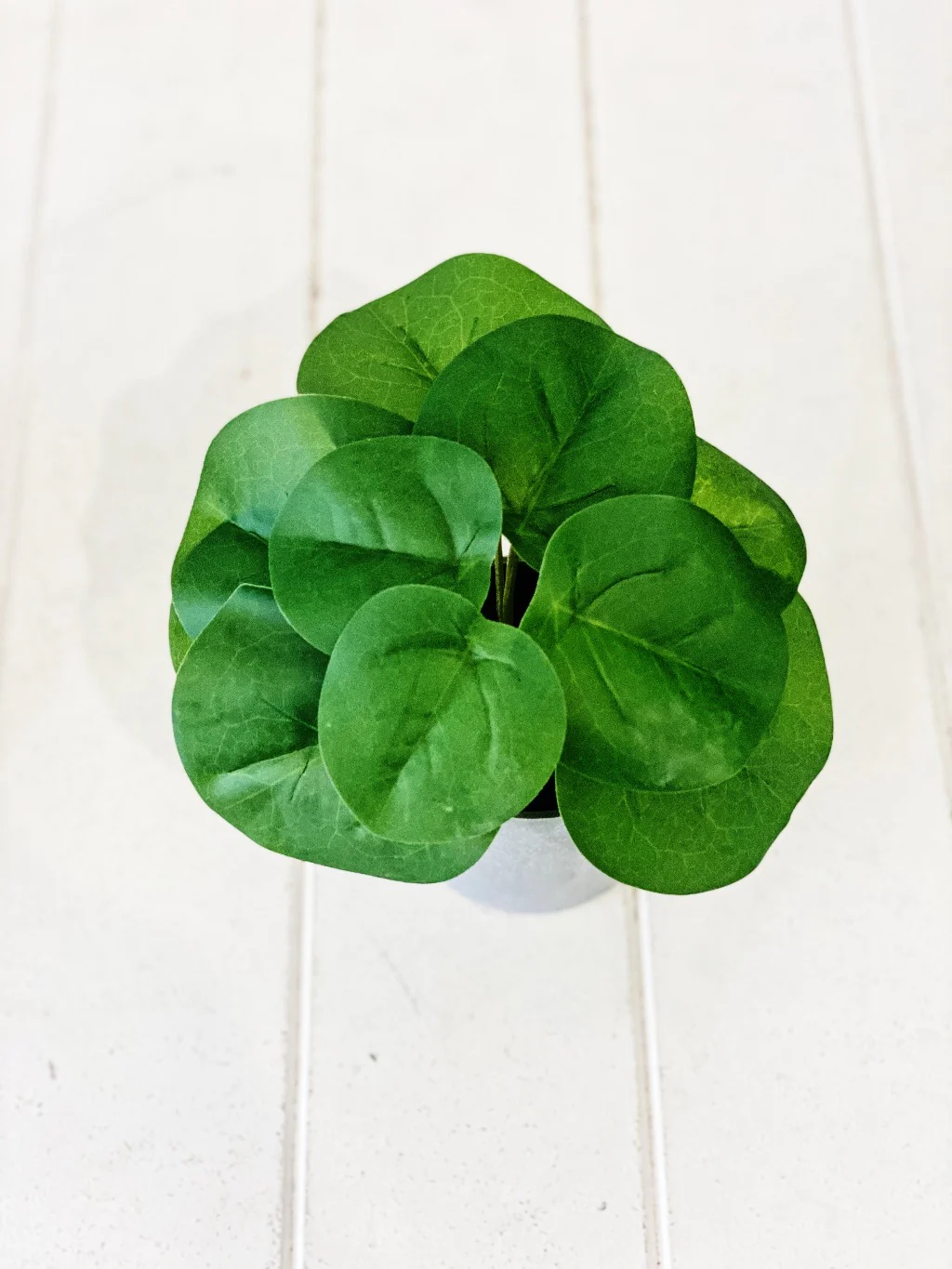 Artificial Syngonium & Pilea in Pot - Image 6