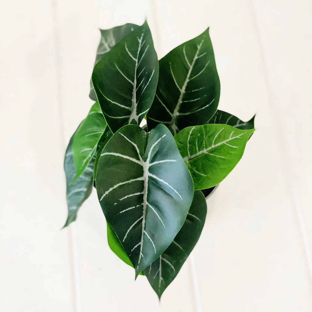 Artificial Syngonium & Pilea in Pot - Image 7