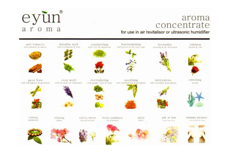 Eyun Aroma Oils 10ml - Image 16
