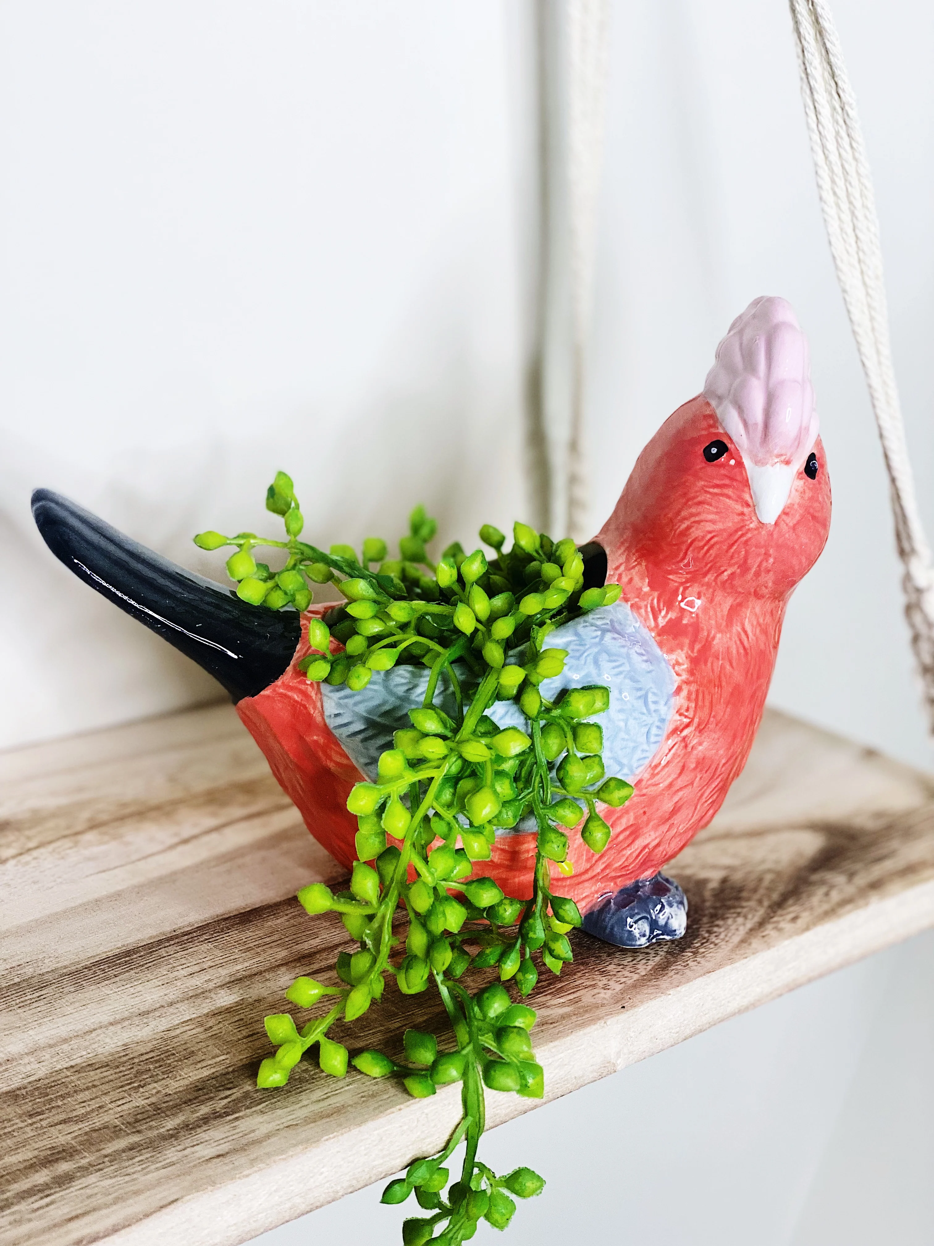 Glenda Galah Ceramic Pot - Image 2