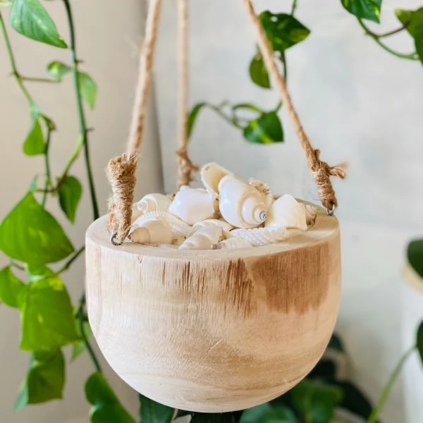 Shape Hanging Planter