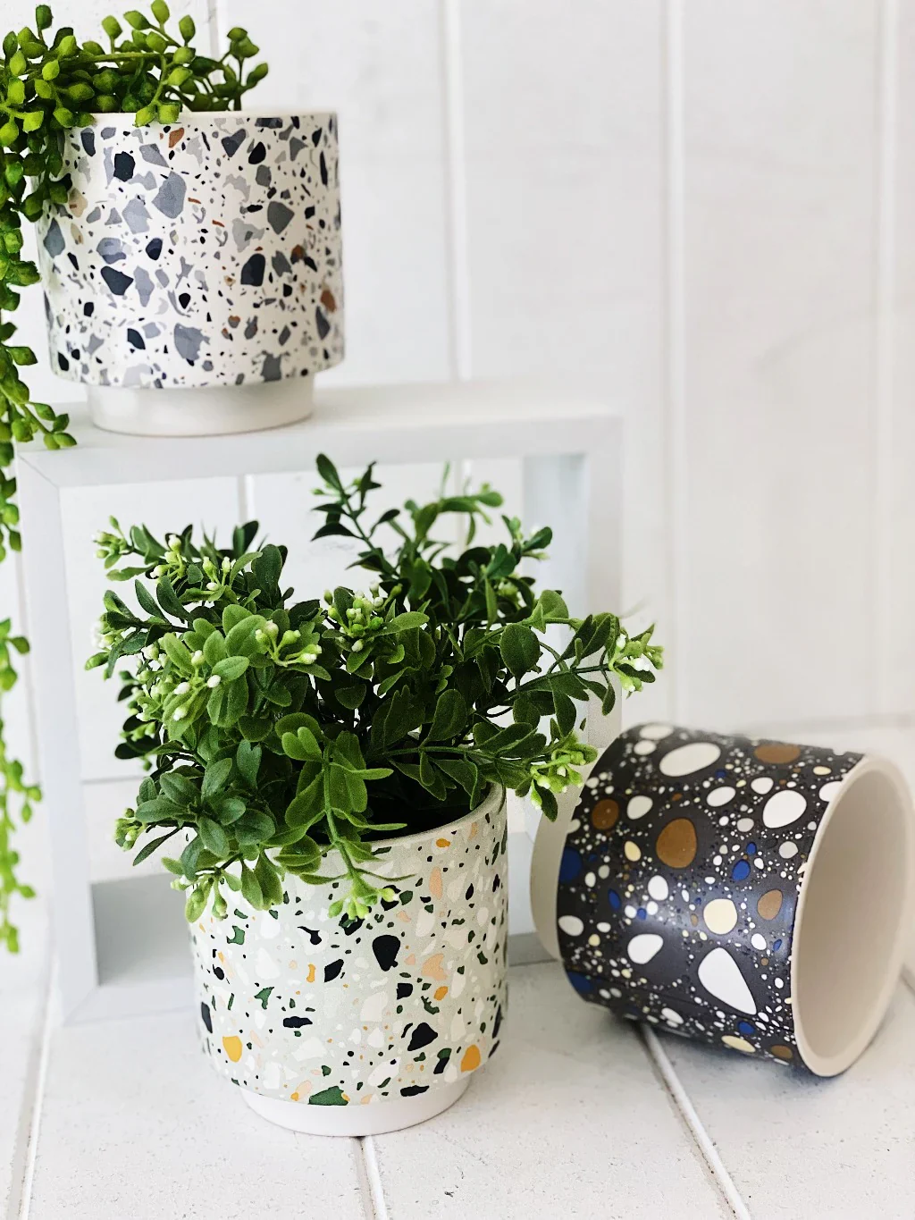 Terrazzo Pots - Medium